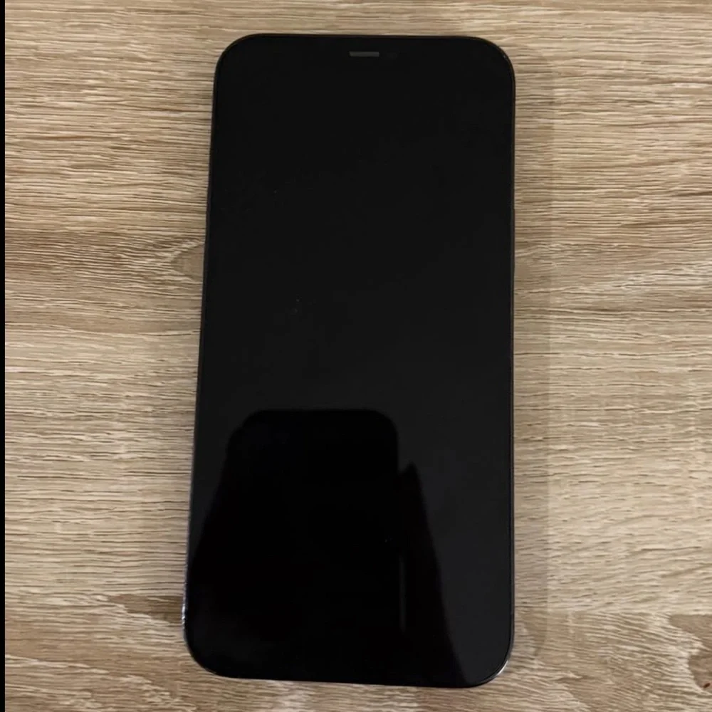 Apple iPhone 12 Pro Max